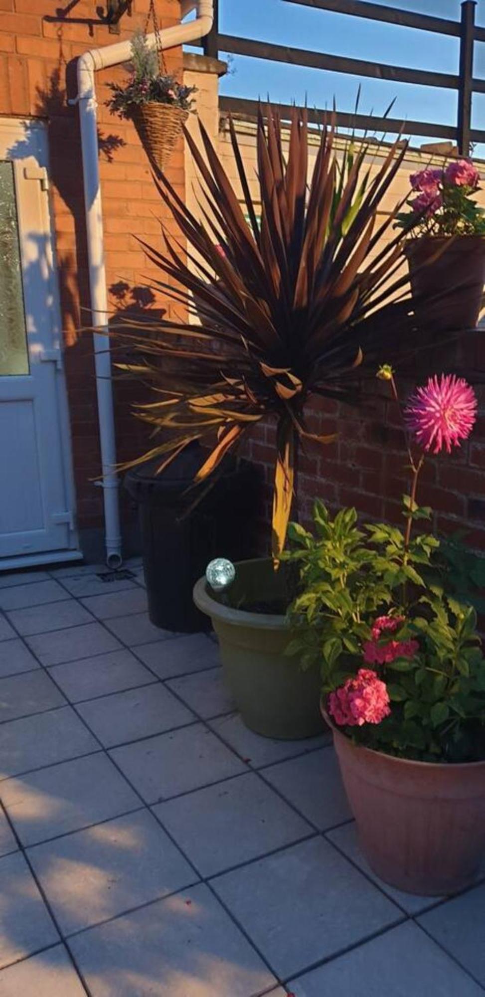 Cosy Corner - Town Centre Flat With Free Nearby Parking Apartman Shrewsbury Kültér fotó